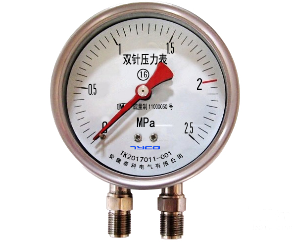 YZS-102双针压力表