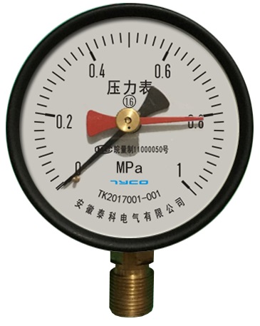  YJ-100记忆压力表