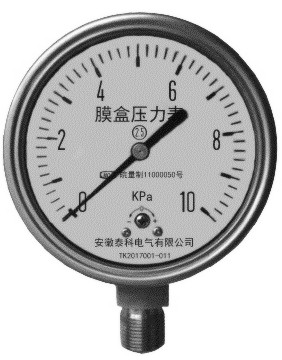 YE-100膜盒压力表