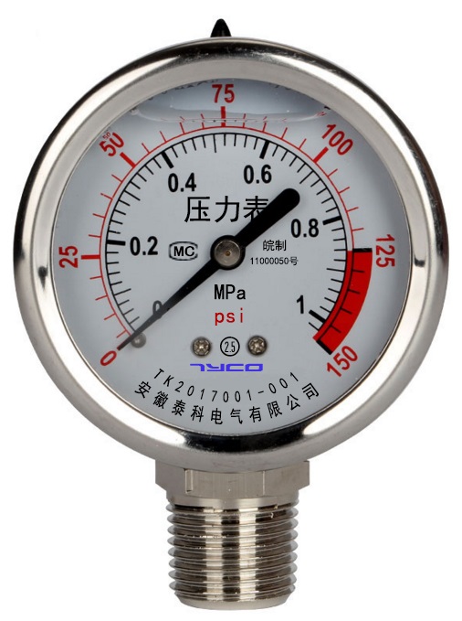 YGW-100 耐高温压力表