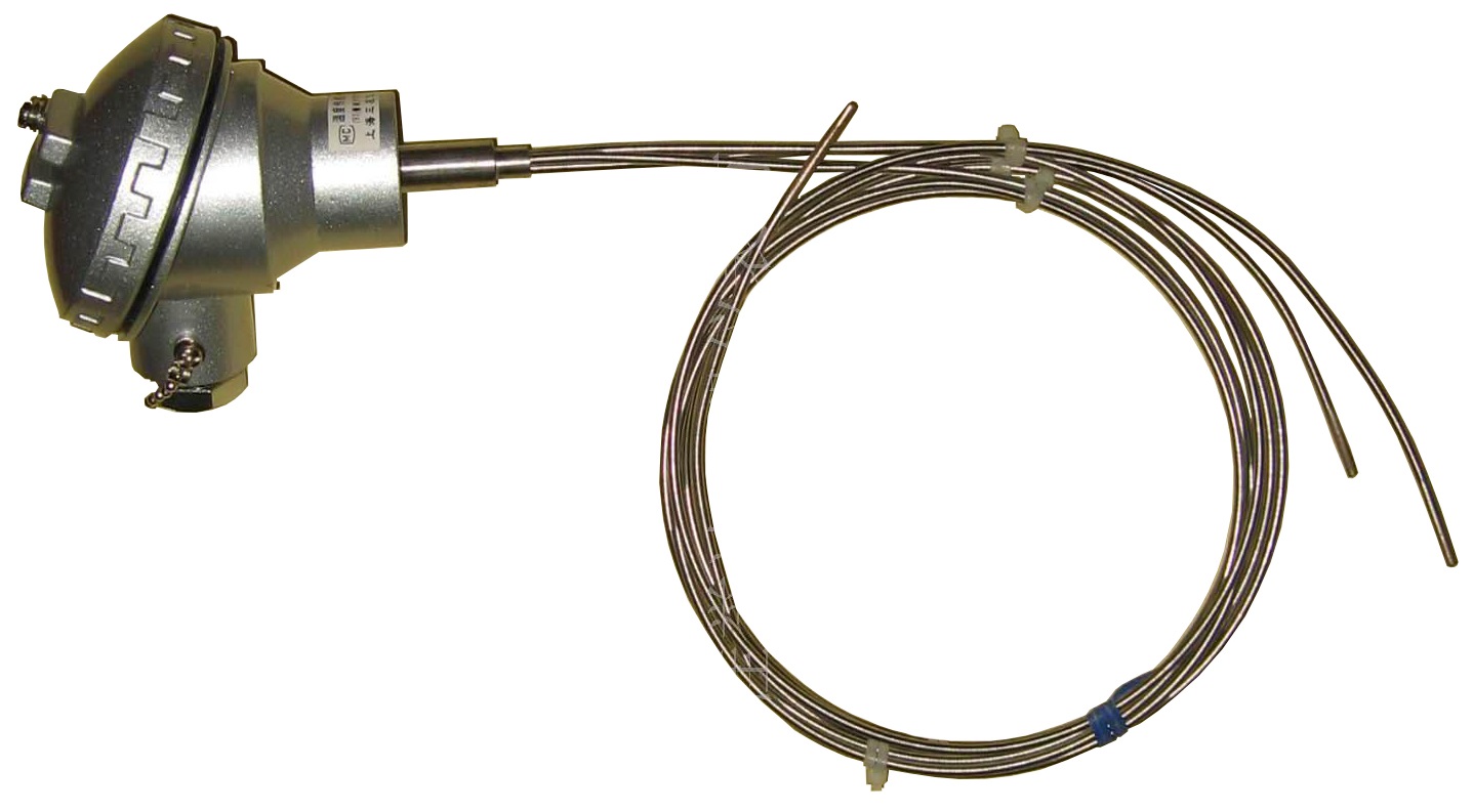 WRN-230D多点热电偶